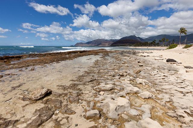 105 Oahu, Ulehawa Beach Park.jpg